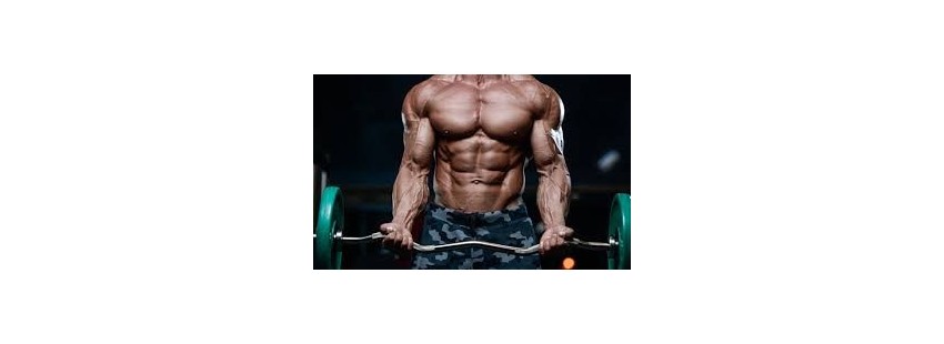 Prise de masse - Prendre de la masse musculaire