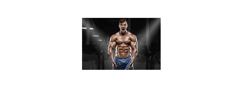 Prise de muscle sec rapide
