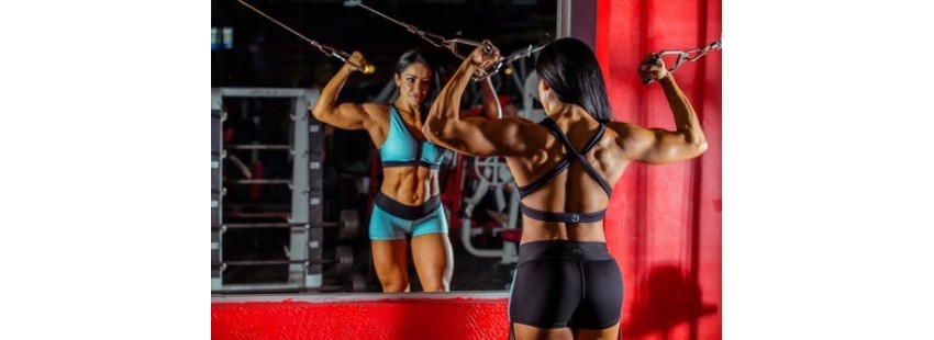 Sèche et définition musculaire rapide