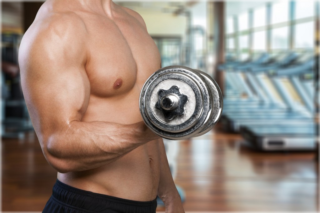 Programme entrainement pour les biceps