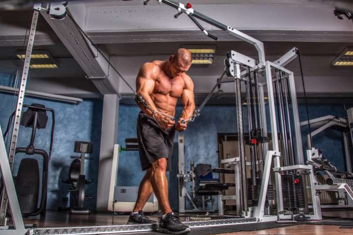 Programme musculation Full body