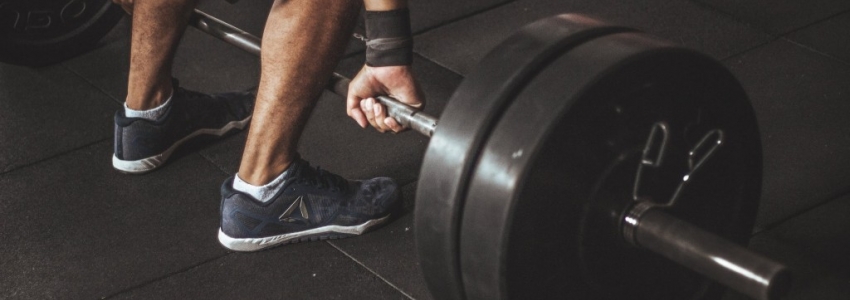 Entrainements musculation