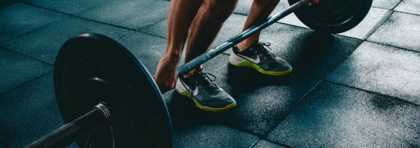 Actualité Musculation